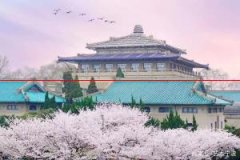 2022年，武汉大学和华中科