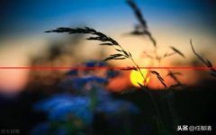 【荐读】夕阳无限好，只